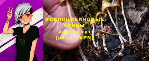 гашишное масло Няндома