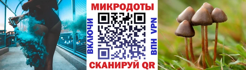 Галлюциногенные грибы ЛСД Старый Крым